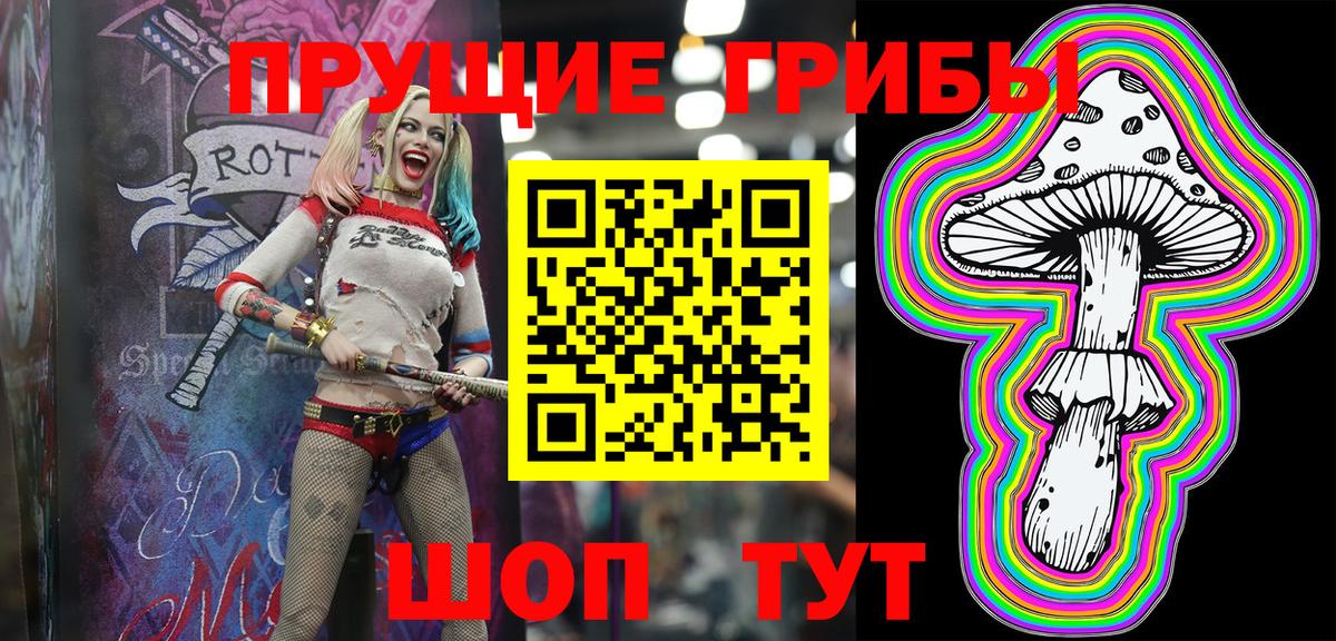 Псилоцибиновые грибы Psilocybine cubensis  Псилоцибиновые грибы мицелий  Вход с VPN  Саяногорск 